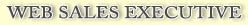 Web Sales Executive
